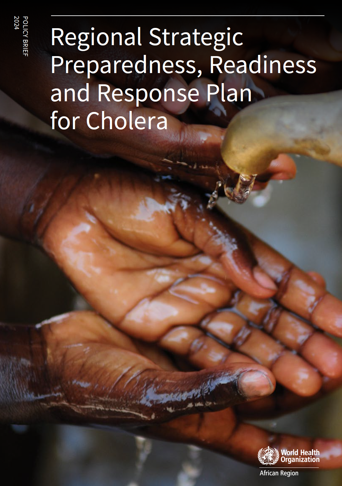 Regional Strategic Preparedness, Readiness and Response Plan for Cholera - African Region